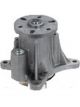 Protex Water Pump