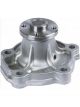 Protex Water Pump