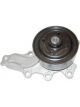 Protex Water Pump