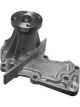 Protex Water Pump