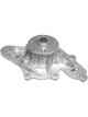 Protex Water Pump