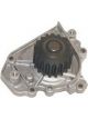 Protex Water Pump