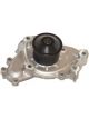 Protex Water Pump