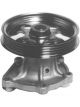 Protex Water Pump
