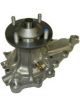 Protex Water Pump