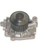 Protex Water Pump