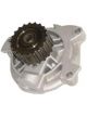 Protex Water Pump
