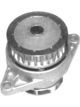 Protex Water Pump