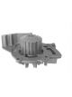 Protex Water Pump