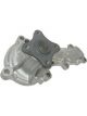 Protex Water Pump