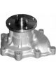 Protex Water Pump