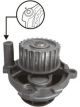Protex Water Pump
