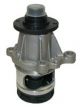 Protex Water Pump