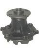 Protex Water Pump