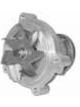 Protex Water Pump