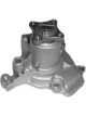 Protex Water Pump