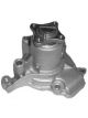 Protex Gold Water Pump