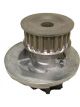 Protex Water Pump