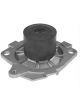 Protex Water Pump