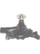 Protex Water Pump