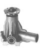 Protex Water Pump