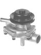 Protex Water Pump