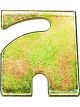 Nolathane Front Control Arm Upper Alignment Shims 6mm Pack 5