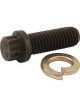 Wilwood Bolt Kit - Wide 5 Drive Flange 12 Point Chromoly - 5 Pk.
