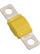 Projecta 60A Midival Fuse For BT950-P1