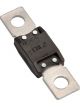 Projecta 150A Continuous/800A Xax CAL2 Fuse Black