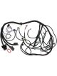 Aeroflow Ls3 6.2L Standalone Wiring Har Ness Suits Manual Trans