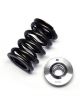 Brian Crower Dual Spring & Titanium Retain For Nissan Sr20Det Gtir/Ve