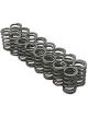Brian Crower For Toyota 2Jz Single Valve Spring Set. Set Of 24