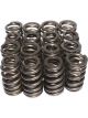 COMP Cams Beehive Valve Springs 1.290 Od 105-293Lbs@1.800