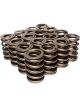 COMP Cams Dual Valve Springs 1.489