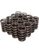 COMP Cams Dual Valve Springs 1.509