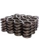 COMP Cams Single Valve Springs 1.464