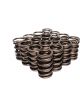 COMP Cams Dual Valve Springs 1.460