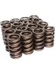 COMP Cams Single Valve Springs 1.254