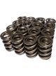 COMP Cams Dual Valve Springs 1.638