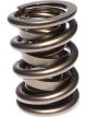 COMP Cams Dual Valve Spring (1) 1.625