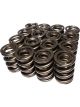 COMP Cams Dual Valve Springs 1.625