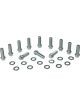 Moroso Sb Chev Intake Manifold Bolts Use Ar134-2001