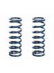 Strange Rear Springs 2.5 x 12