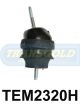 Transgold Engine Mount Front