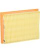 Fram Air Filter
