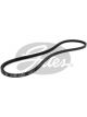 Gates V-Belt