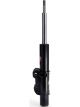 KYB Front Excel-G Gas Strut
