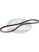 Gates Micro-V Ribbed Belt