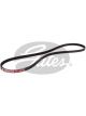 Gates Micro-V Ribbed Belt